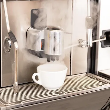 מלון Edelweiss ריצ'יונה