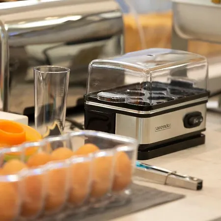 酒店 Edelweiss 里乔内